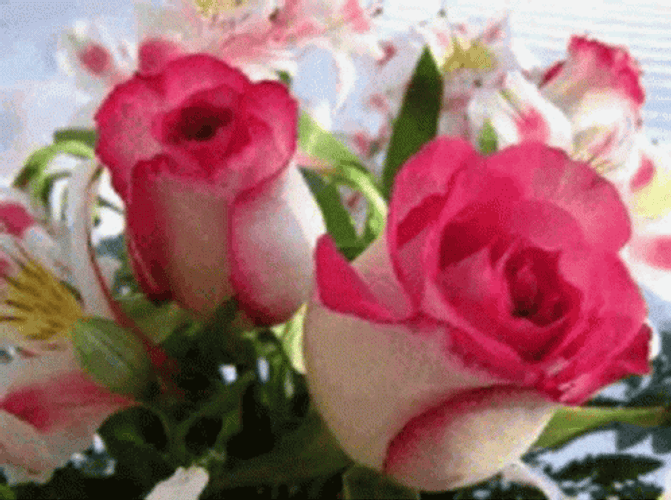 Cute Pink Flores Collage GIF