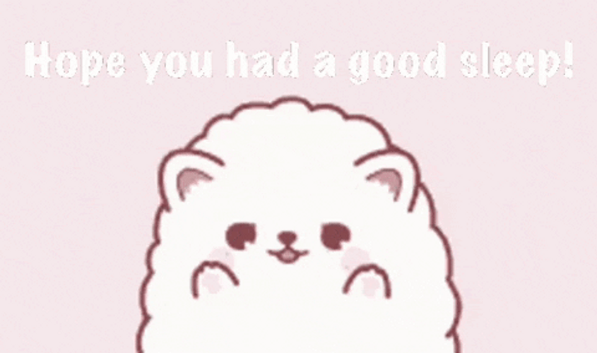 Cute Pomeranian Hope You Sleep Well GIF