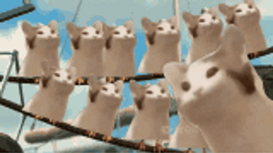 Cute Pop Cat Memes Funny Open Mouth GIF