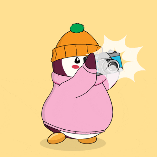 Cute Pudgy Penguin Taking Pictures GIF