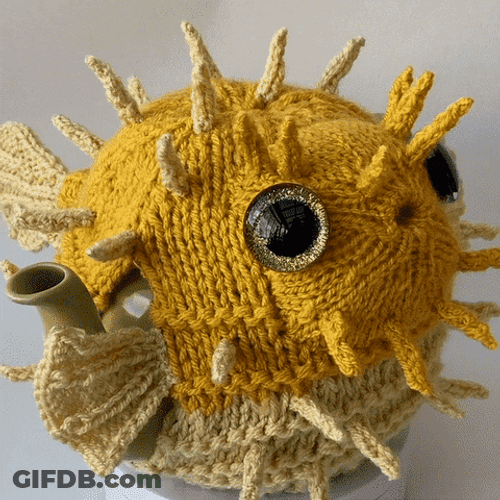 Cute Pufferfish Eyes GIF