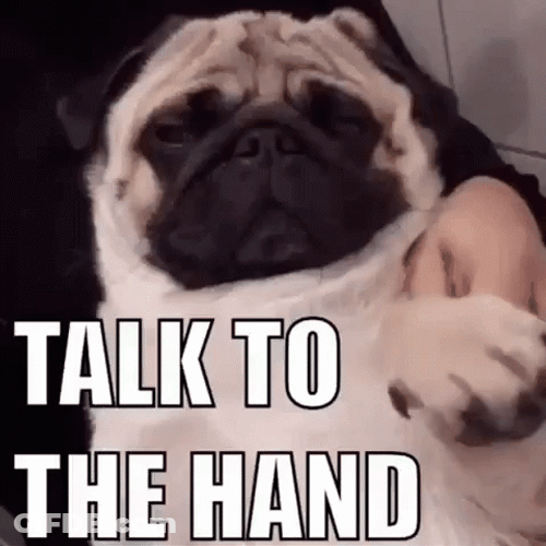 Cute Pug Talk To The Hand GIF