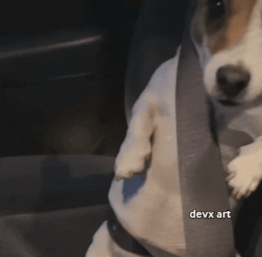 Cute Pup Wearing Seat Belt GIF