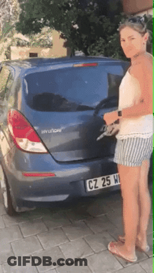 Cute Puppies Surprise Car GIF