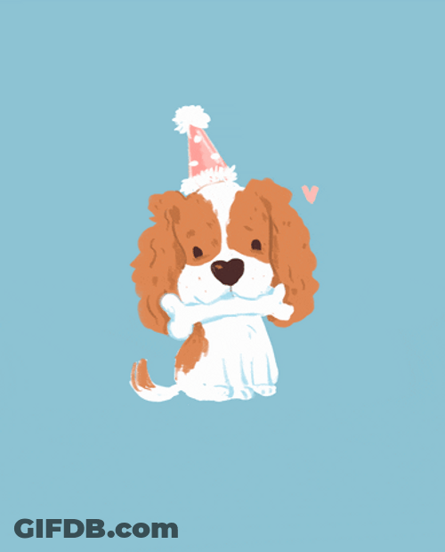 Cute Puppy Birthday Party Hat GIF
