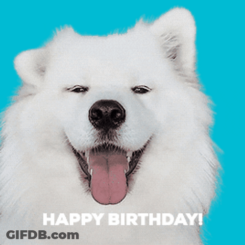 Cute Puppy Greeting Happy Birthday GIF