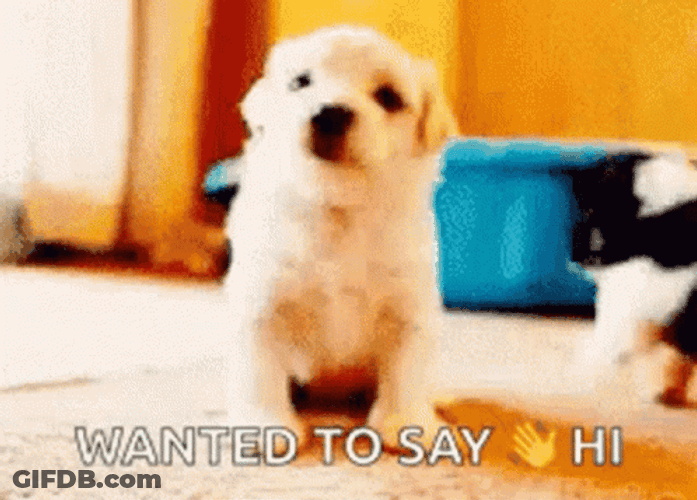 Cute Puppy Just Saying Hi GIF