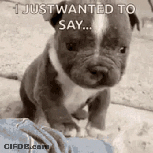Cute Puppy Just Saying Hi Wave GIF