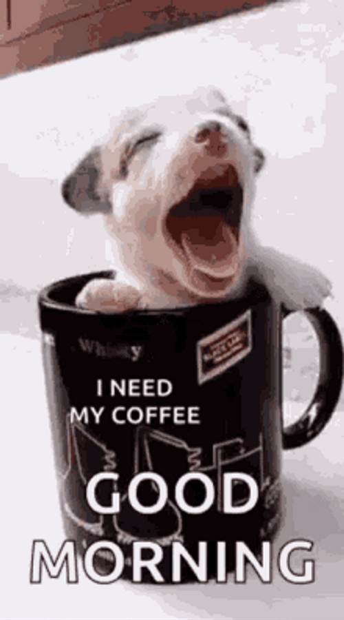 Cute Puppy Need Coffee GIF
