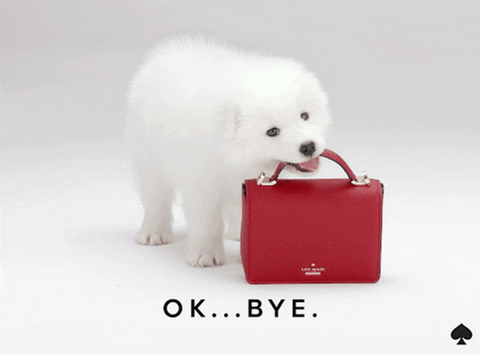 Cute Puppy Ok Bye GIF