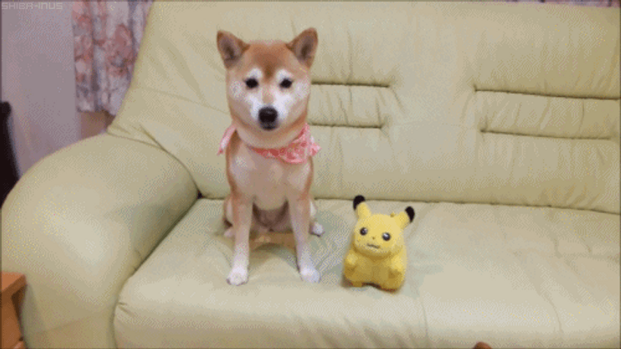 Cute Puppy Pikachu Toy Poke GIF