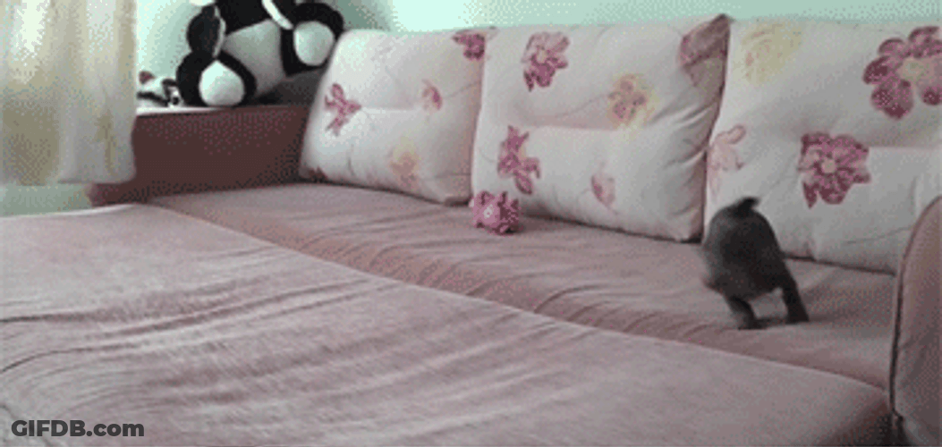 Cute Puppy Running In Bed GIF