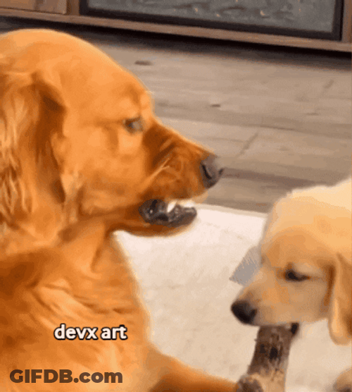 Cute Puppy Stealing Bone GIF