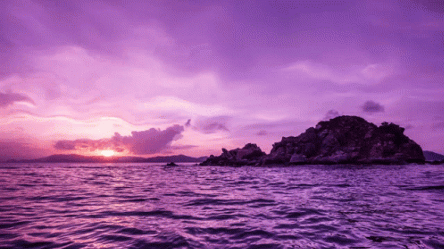 Cute Purple Sunset Sea GIF