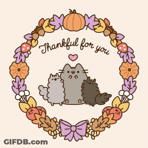 Cute Pusheen Thankful For You GIF