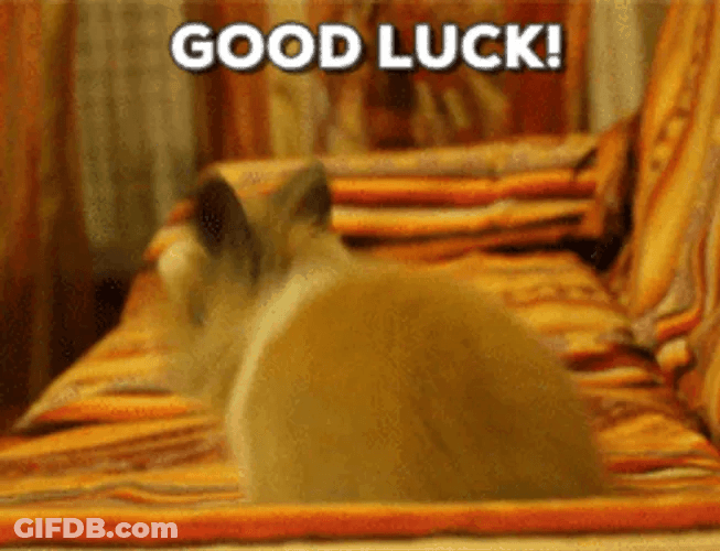 Cute Rabbit Bounce Good Luck GIF