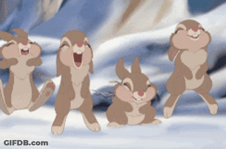 Cute Rabbits Jumping Up And Down GIF