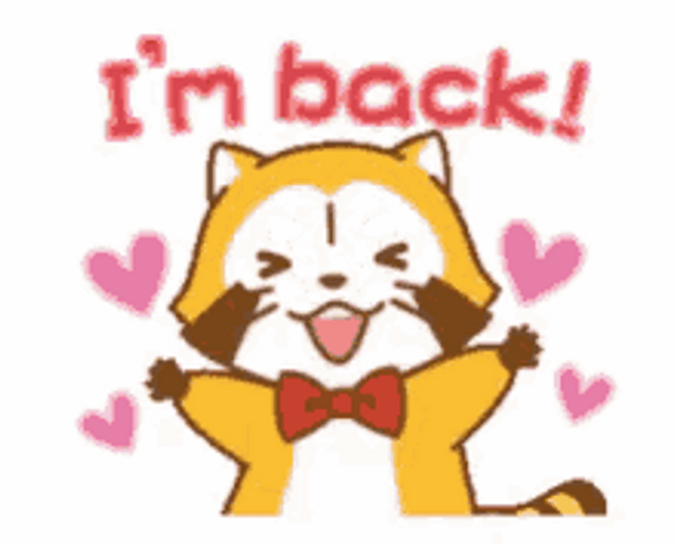 Cute Racoon Cartoon I'm Back GIF