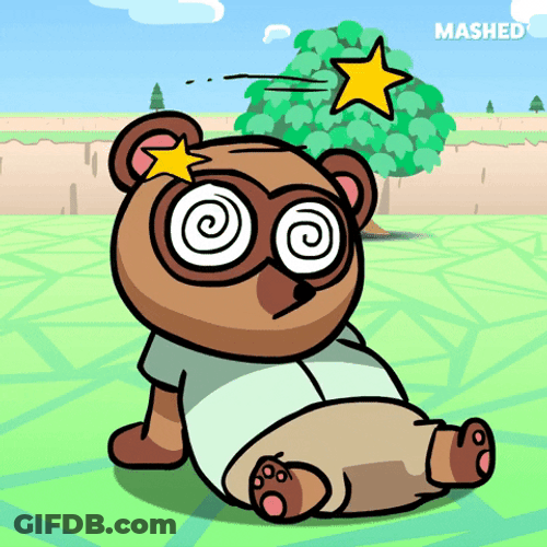 Cute Racoon Is Dizzy GIF