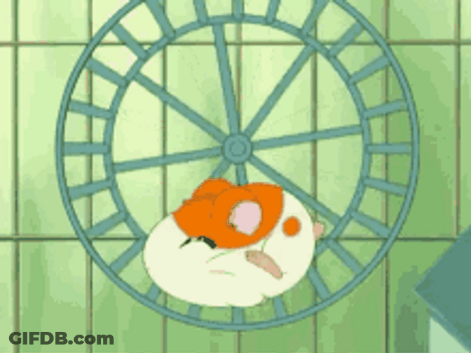 Cute Running Hamtaro Pet Wheel Cage GIF