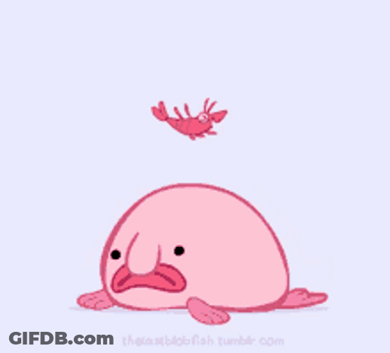 Cute Sad Blobfish Shrimp Bounce GIF