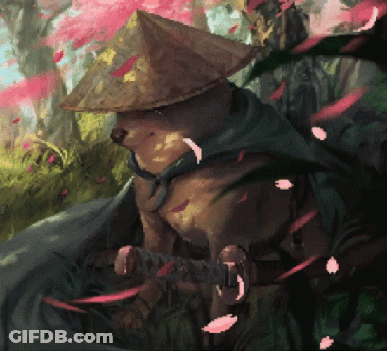 Cute Samurai Dog GIF