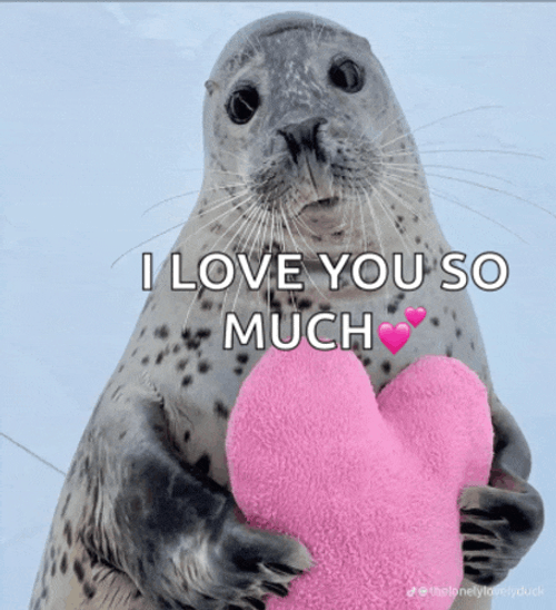 Cute Seal Meme GIF