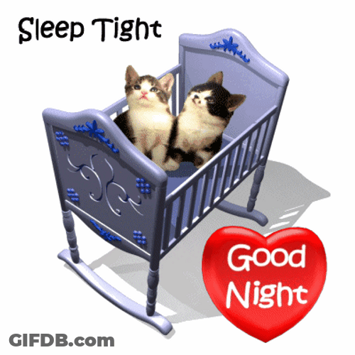 Cute Sleepy Cats In Rocking Crib GIF