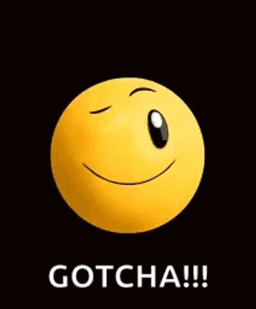 Cute Smiley Face Winking Gotcha GIF