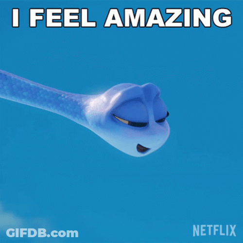 Cute Snake Maddie Flying Back To The Outback GIF