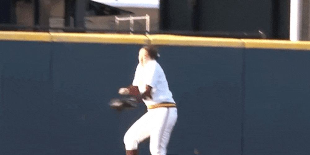 Cute Softball Happy Dance University Of Minnesota GIF