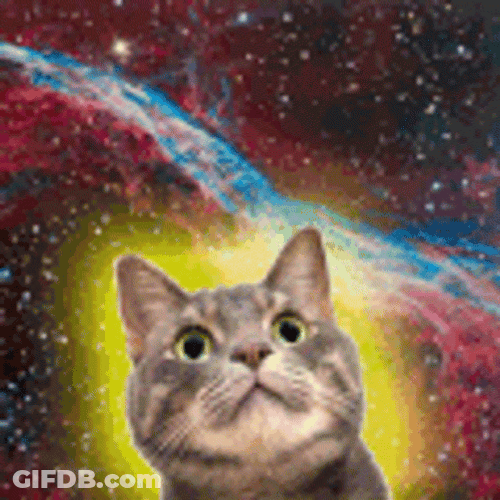 Cute Space Cat Colorful Galaxy GIF