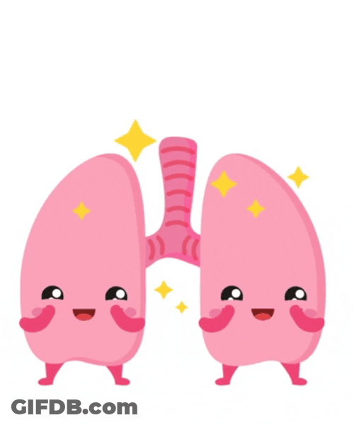 Cute Sparkling Lungs Animation GIF