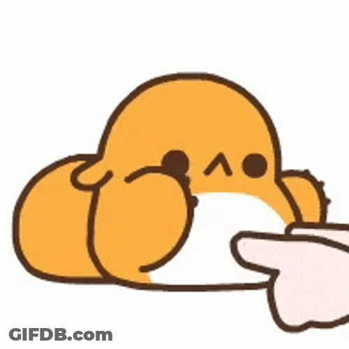 Cute Squishy Squirrel Belly Poke GIF