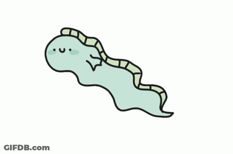 Cute Sticker Leech GIF