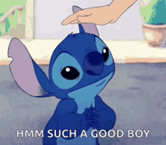 Cute Stitch Good Boy GIF