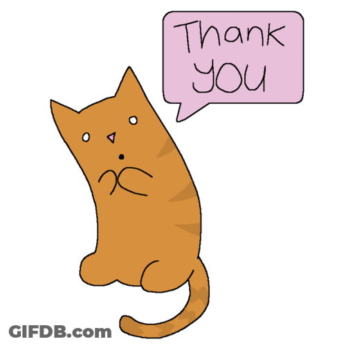 Cute Thank You Brown Cat GIF