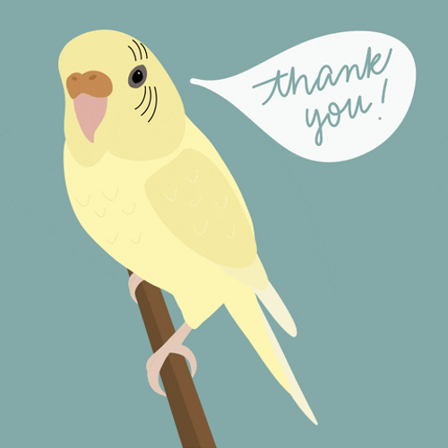 Cute Thank You Yellow Parrot GIF