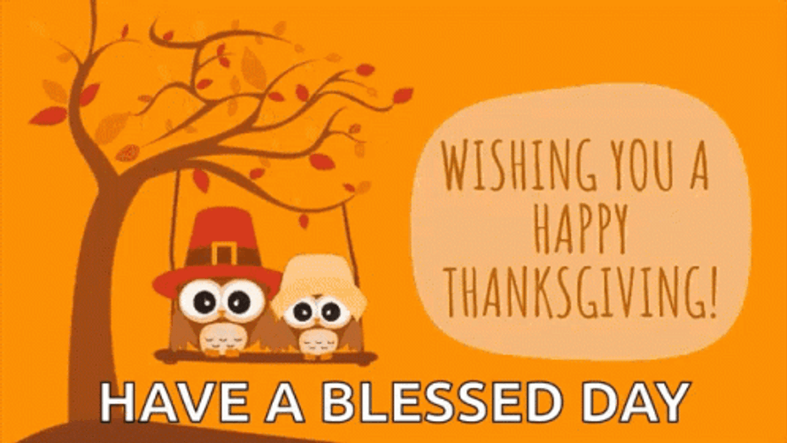 Cute Thanksgiving Blessed Day GIF