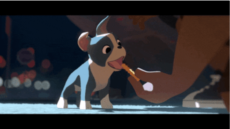 Cute Thanksgiving Dog Eating Fries GIF