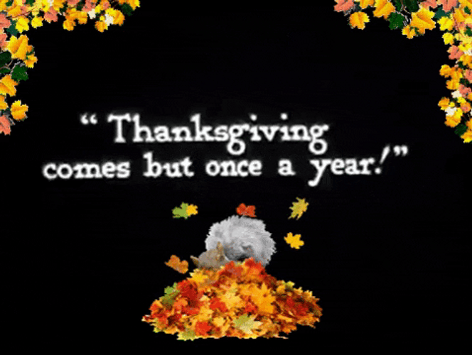 Cute Thanksgiving Happy Squirrel GIF