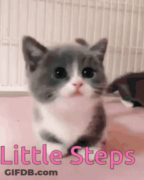 Cute Tiny Step By The Little Kitten GIF