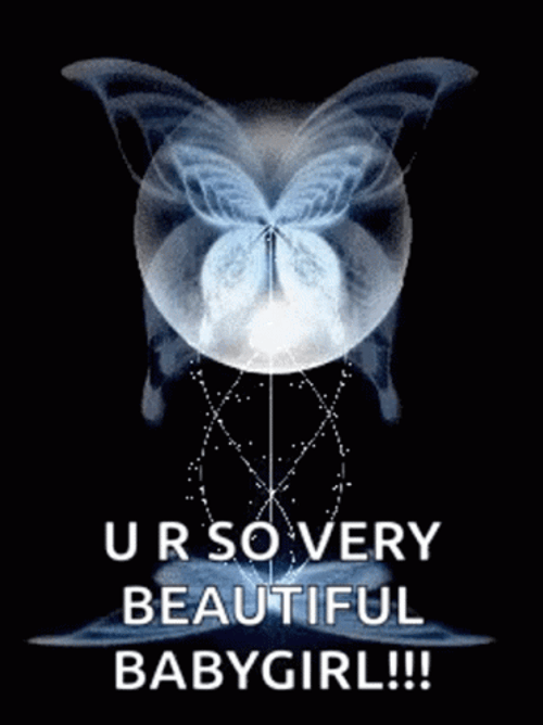 Cute Transparent Butterfly GIF