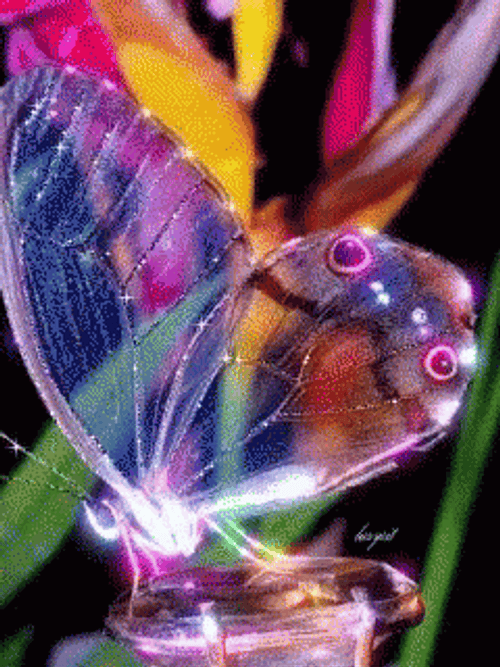Cute Transparent Purple Butterfly GIF
