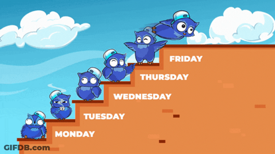Cute Tuesday Bird Ladder GIF