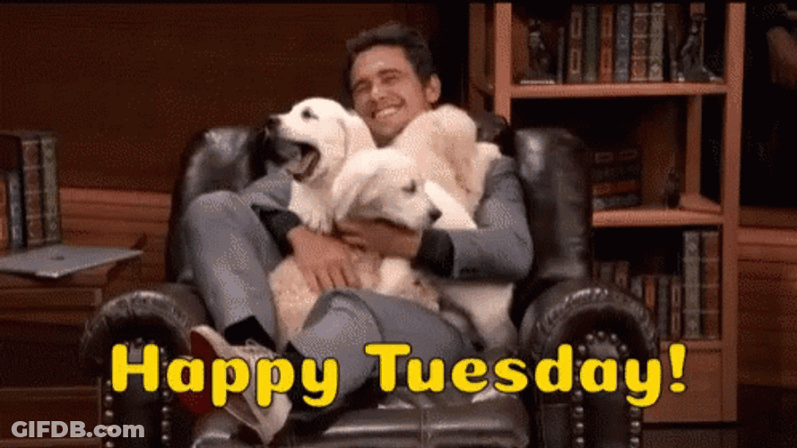 Cute Tuesday Dog Licking Man Face GIF