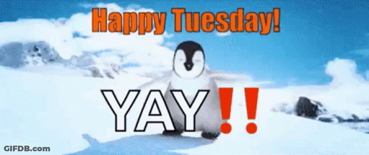 Cute Tuesday Penguin Flap GIF