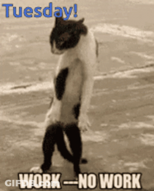 Cute Tuesday Standing Attack GIF