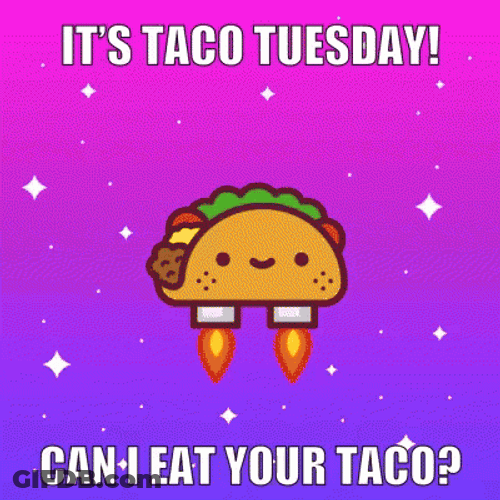 Cute Tuesday Taco Jet GIF