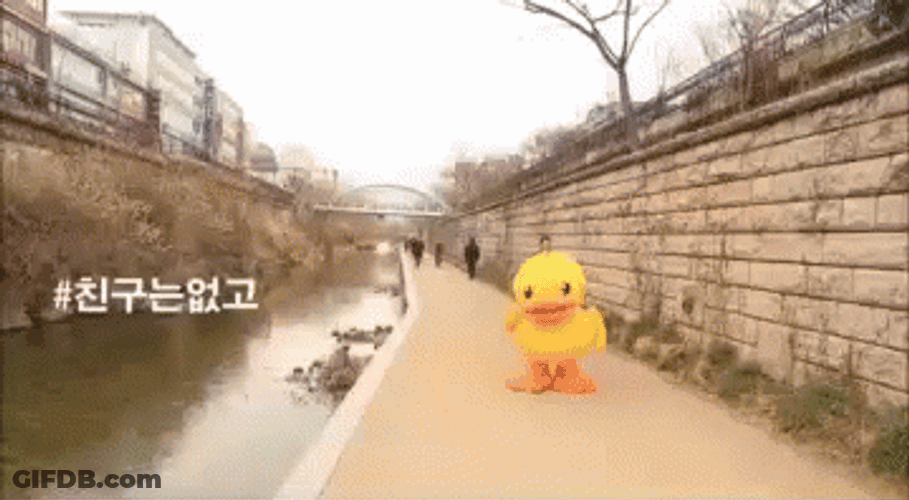 Cute Walking Duck Costume South Korea GIF